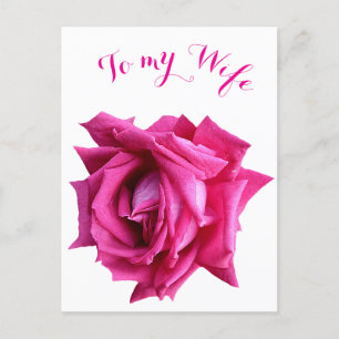 Pretty hot pink rose floral Happy Valentine love Postcard