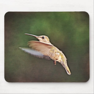 Pretty Hummingbird in Wild Mouse Pad