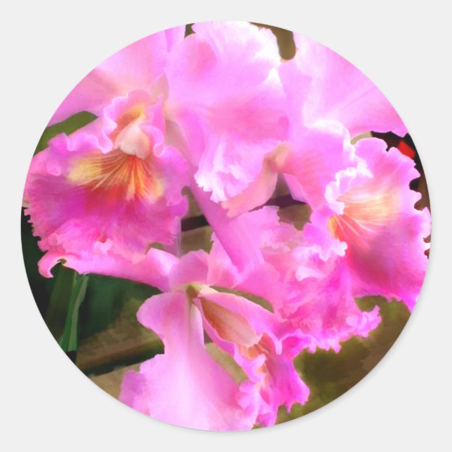 Pretty in Pink Cattleya Orchids Classic Round Sticker (Front)