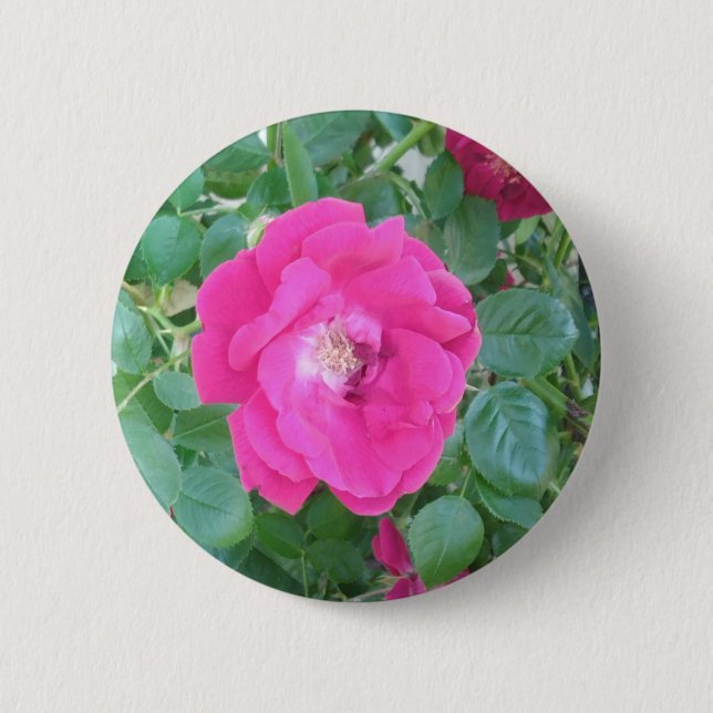 Pretty In Pink Flower 2 Inch Round Button (Front)
