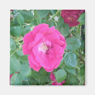 Pretty In Pink Flower Magnet