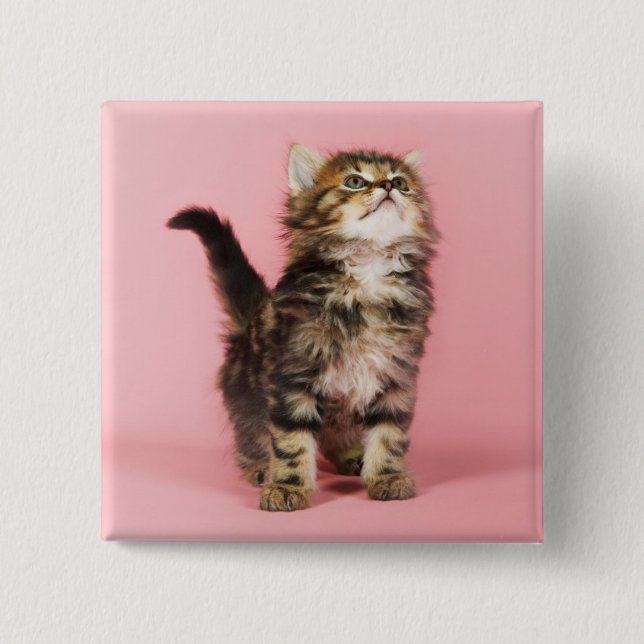 Pretty in Pink Kitten 2 Inch Square Button (Front)