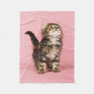 Pretty in Pink Kitten Fleece Blanket