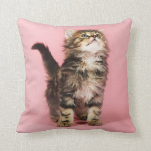 Pretty in Pink Kitten Throw Pillow