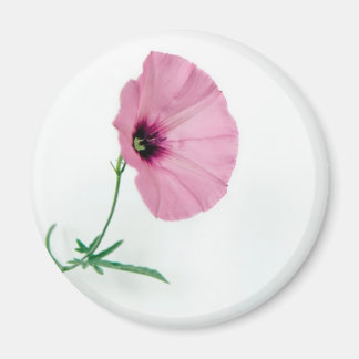 Pretty In Pink Magnet