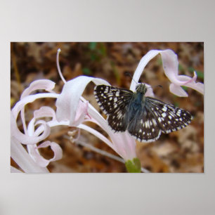 Pretty in Pink Poster