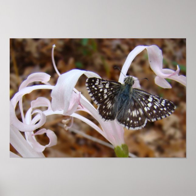 Pretty in Pink Poster (Front)