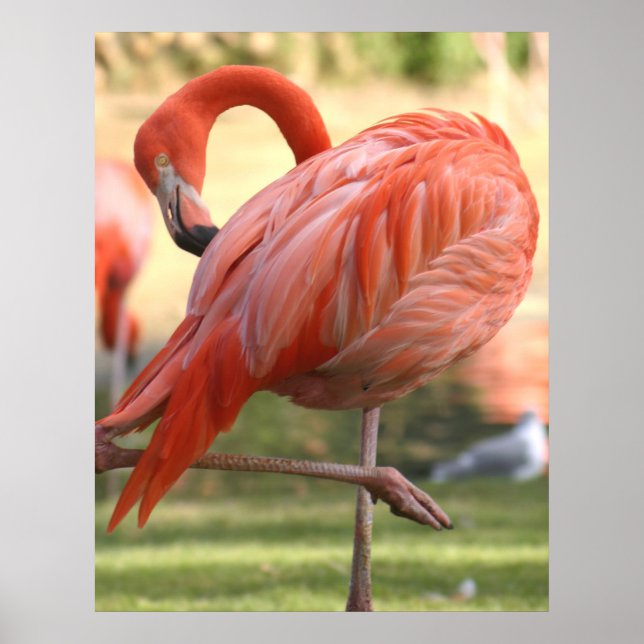 Pretty in pink poster (Front)