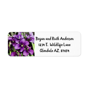 Pretty in Purple flower