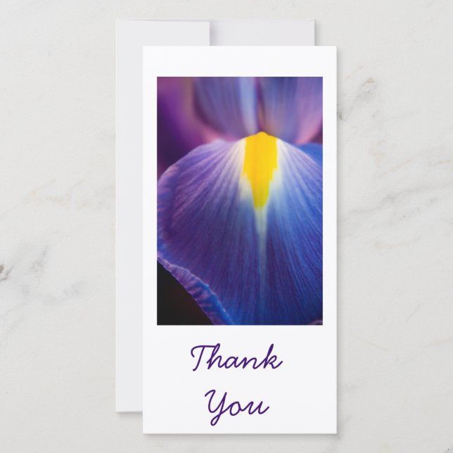 Pretty in Purple Iris Thank You Cards (Front)