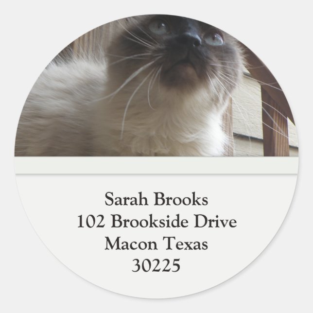 Pretty Kitty Address Labels (Front)