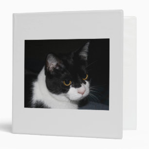 Pretty Kitty Avery Binder