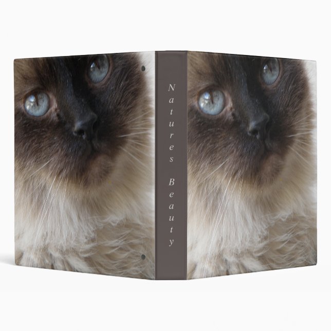 Pretty Kitty Binder (Background)