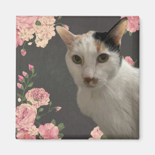 Pretty Kitty Magnet
