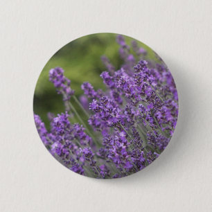 Pretty Lavender Fields Button