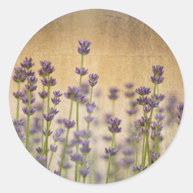 Pretty Lavender Flowers Classic Round Sticker (Front)