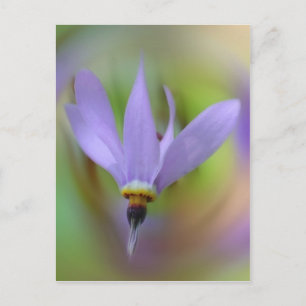 Pretty Lavender Purple Wild Flower Postcard