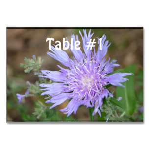 Pretty Lavender Scabiosa Table Number