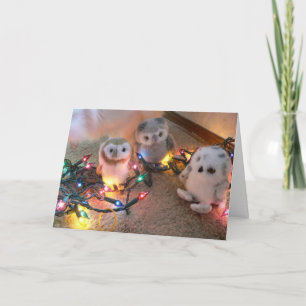 Pretty Lights Holiday Card