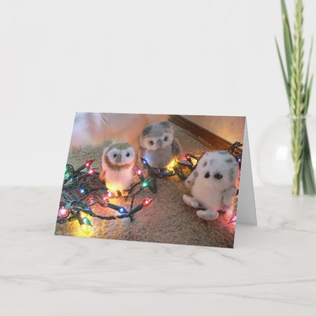 Pretty Lights Holiday Card (Front)