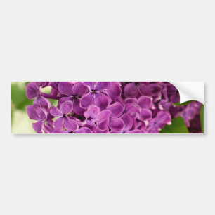 Pretty Lilac Bumper Sticker