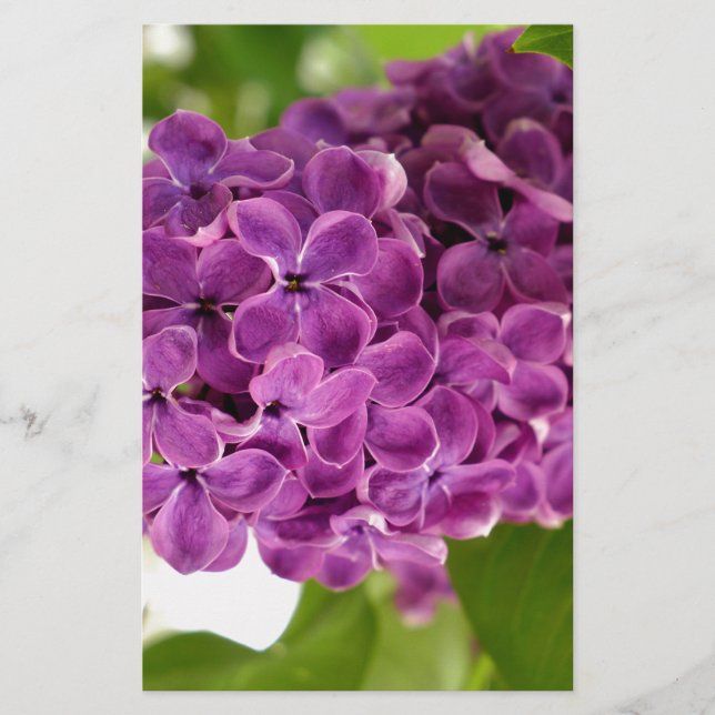 Pretty Lilac Stationery (Front)