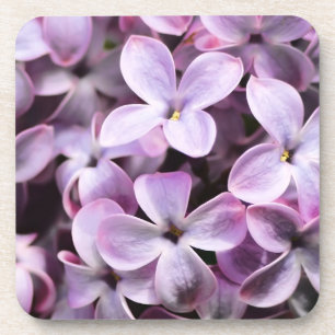 Pretty Lilacs Coaster