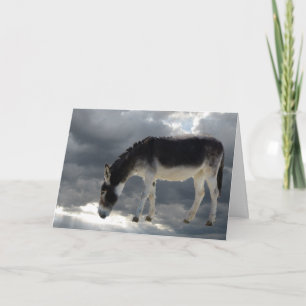 Pretty Little Burro Clouds Heaven — Pet Sympathy Card