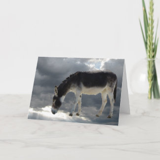 Pretty Little Burro Clouds Heaven - Pet Sympathy Card