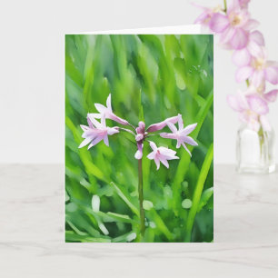 Pretty Little Purple Flowers Floral Art Note Card