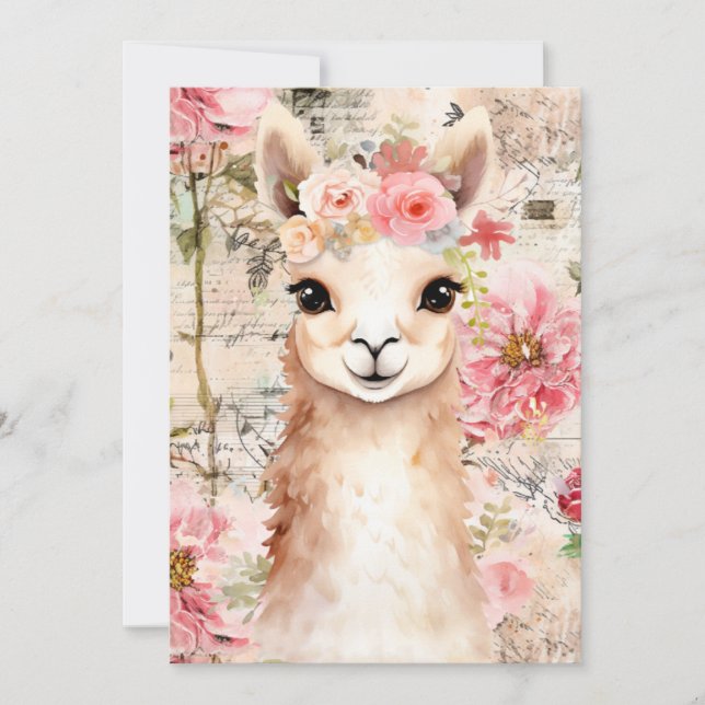 Pretty Llama cards (blank inside) (Front)