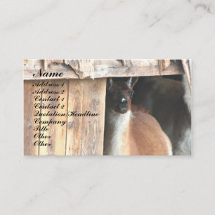 Pretty Llama Farm Animal Business Card