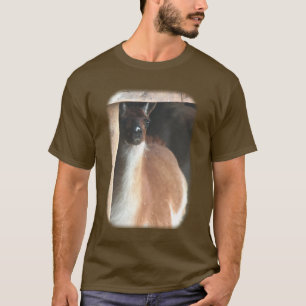 Pretty Llama Farm Animal T-Shirt