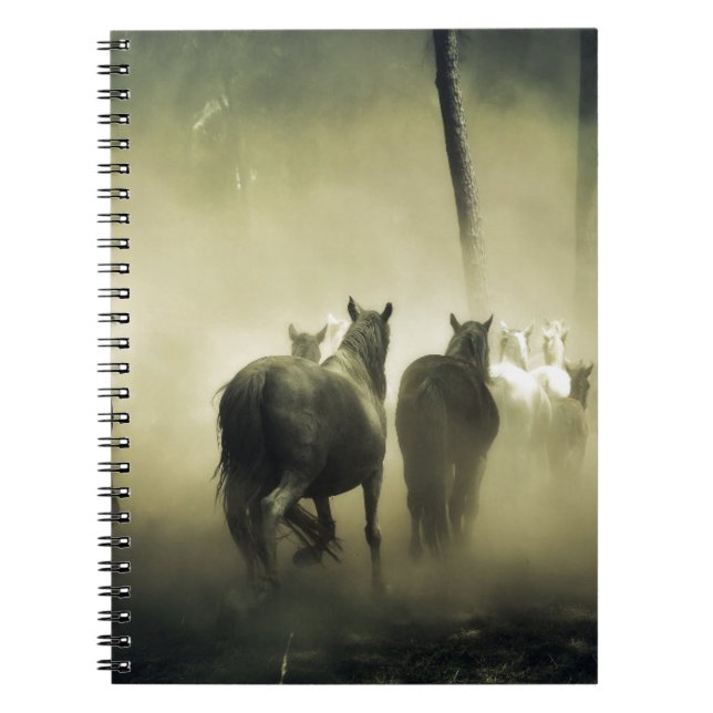 PRETTY LOOKING HORSES NOTEBOOK (Front)
