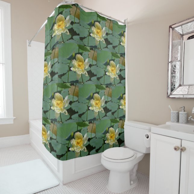 Pretty Lotus Blossom (In Situ)