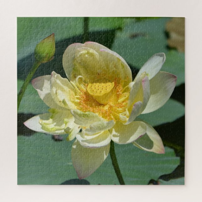 Pretty Lotus Blossom Jigsaw Puzzle (Vertical)