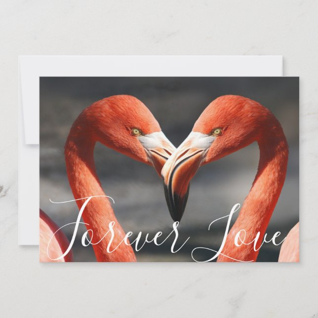 Pretty Love Flamingos Orange Reddish Valentine Day Holiday Card (Front)