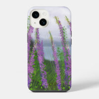 Pretty Lupine Flowers By The Lake