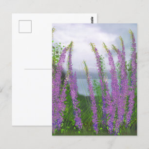 Pretty Lupine Flowers By The Lake Postcard