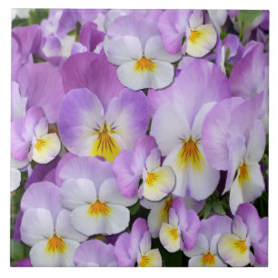 Pretty Mauve Pansies Tile