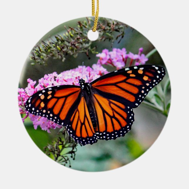 Pretty Monarch Butterfly Photo Ceramic Ornament (Front)
