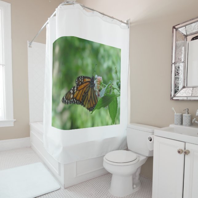 Pretty Monarch Butterfly Pink White Flower (In Situ)