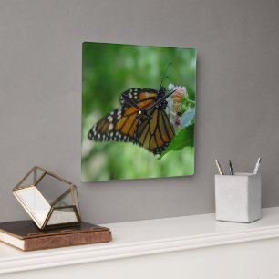 Pretty Monarch Butterfly Square Wall Clock