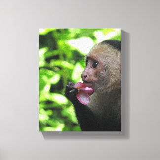 Pretty Monkey Canvas Print