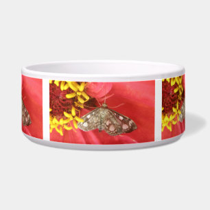 Pretty Moth on Red Flower Dog Bowl