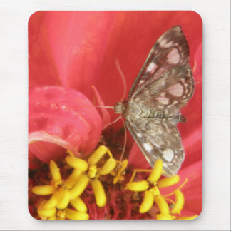 Pretty Moth on Red Flower Mousepad