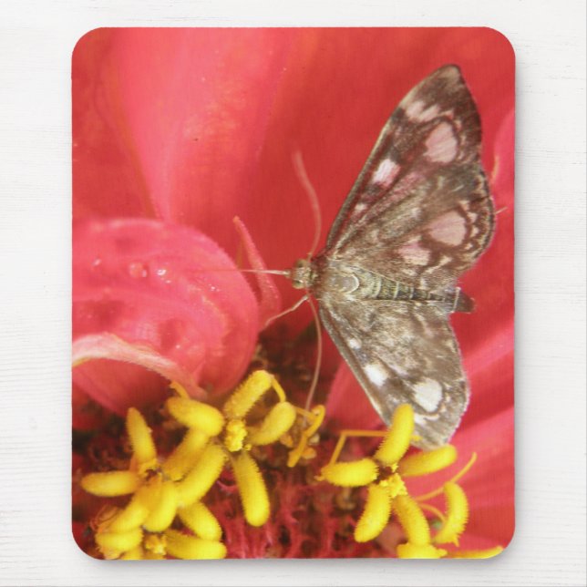 Pretty Moth on Red Flower Mousepad (Front)