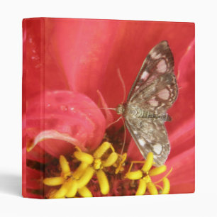 Pretty Moth on Red Flower Photo Album Binder