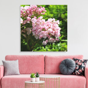 Pretty Mountain Laurel Pink Flowers Canvas Print