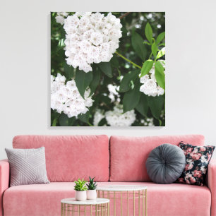 Pretty Mountain Laurel White Flowers Canvas Print